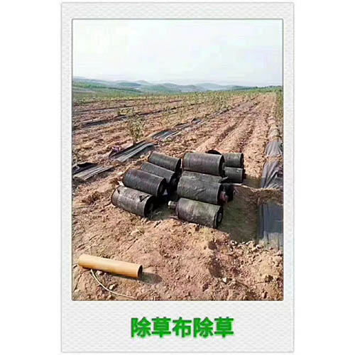 闃茶崏甯?0 闃茶崏甯?0